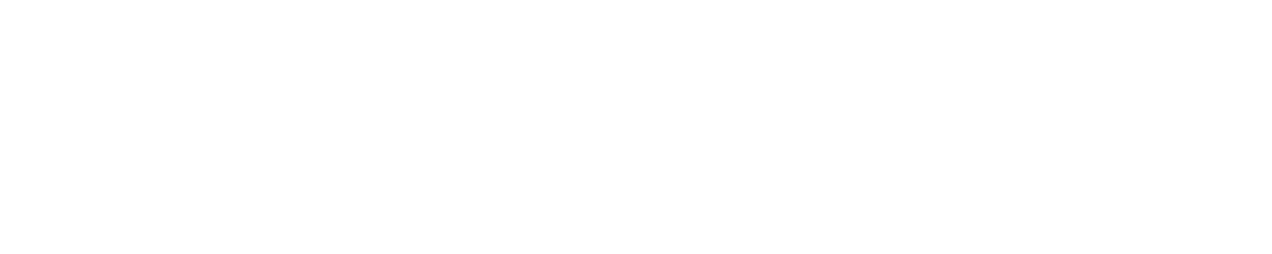 Prompton Real Estate Services White Logo